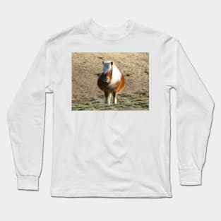 Dartmoor Pony Long Sleeve T-Shirt